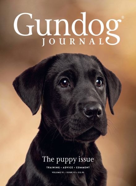 Gundog Journal – Volume VI Issue VI 2025