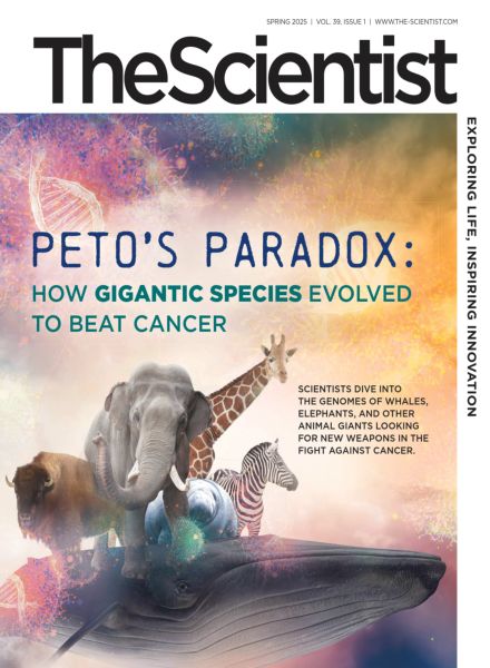 The Scientist – Spring 2025