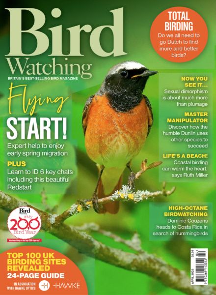 Bird Watching UK – April 2025