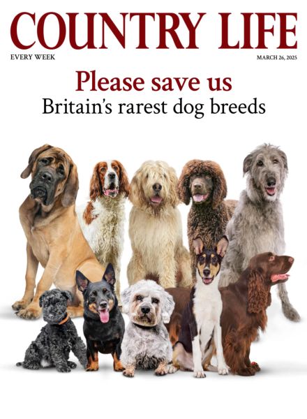 Country Life UK – March 26 2025