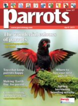 Parrots – April 2025