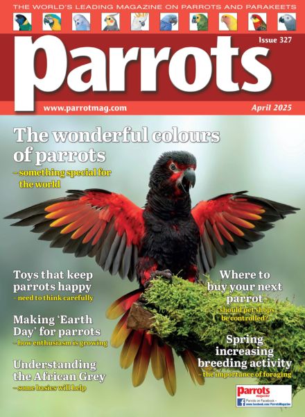 Parrots – April 2025