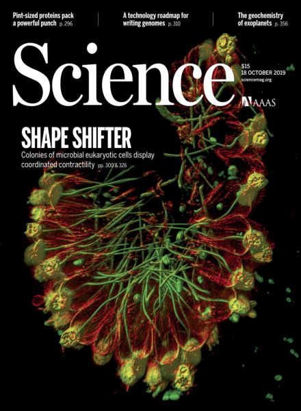 Science – 18 October 2019