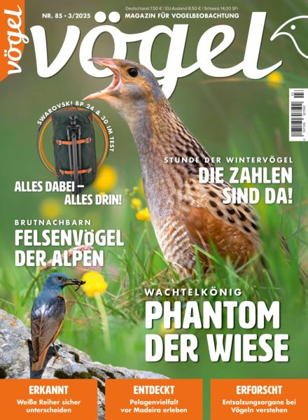 Vogel Magazin – April 2025