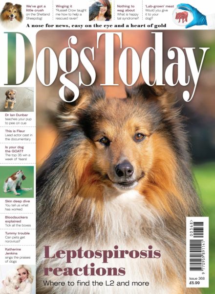 Dogs Today UK – Issue 368 2025