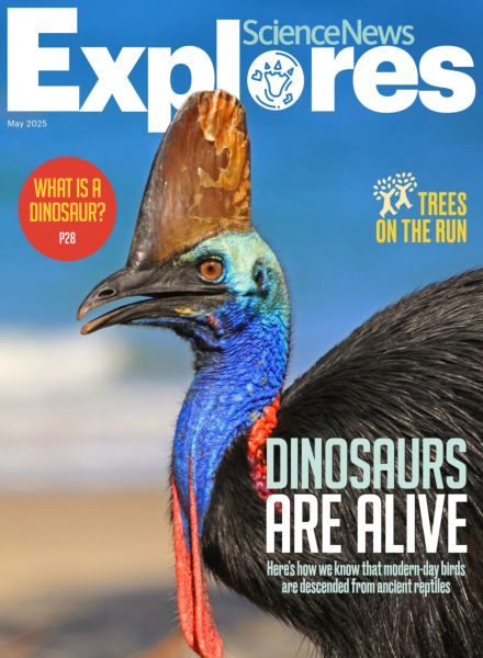 Science News Explores – May 2025