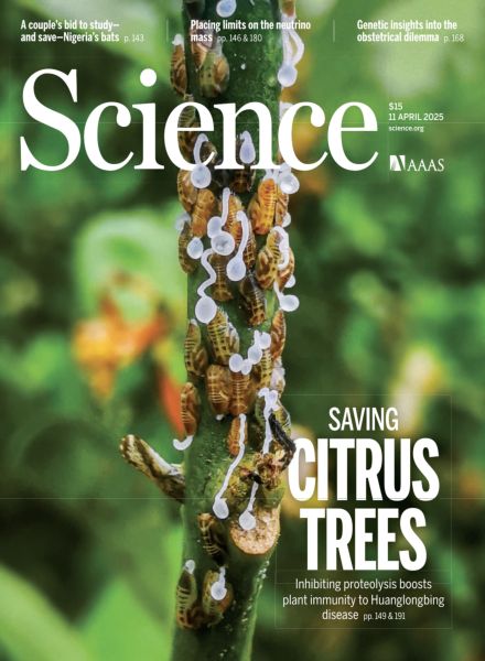 Science – 11 April 2025
