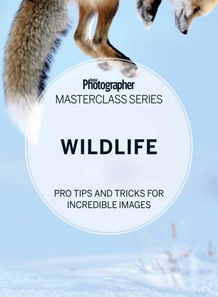 Digital Photographer Masterclass Series – Wildlife 2025