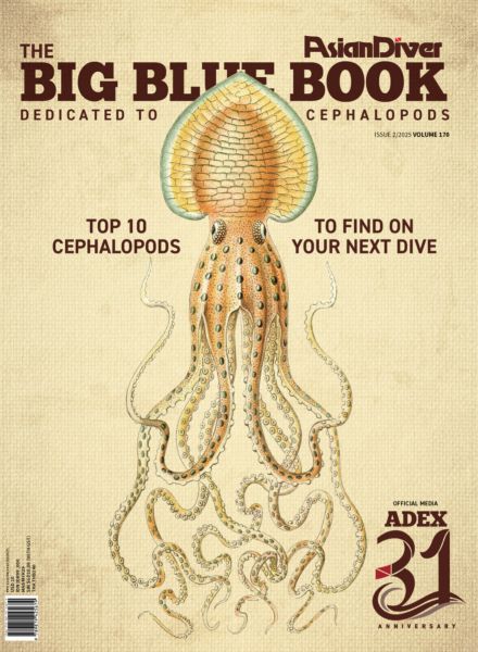 Asian Diver – The Big Blue Book 2025