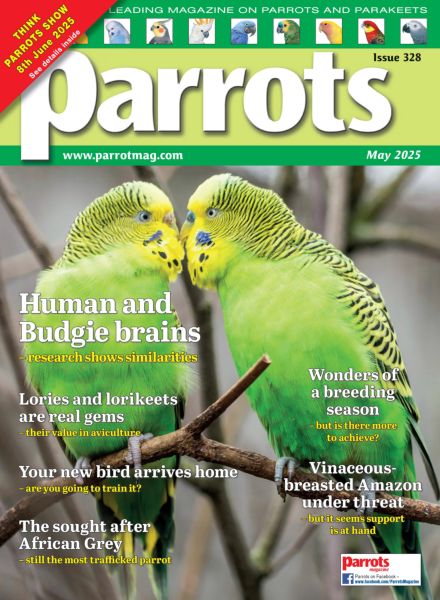 Parrots – May 2025