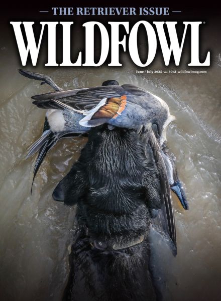 Wildfowl – June-July 2025