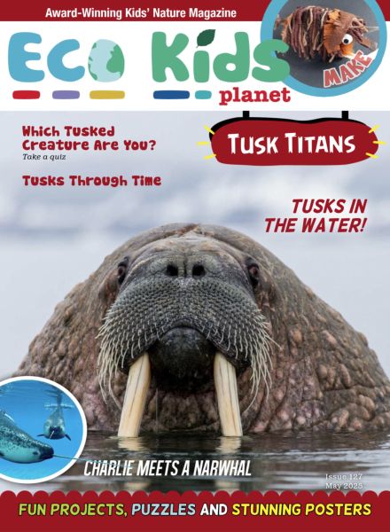 Eco Kids Planet Magazine – May 2025