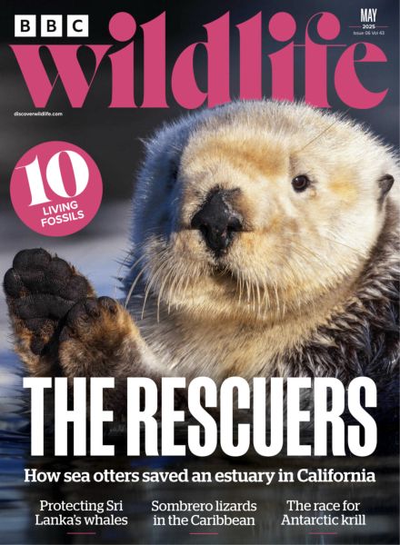 BBC Wildlife – May 2025