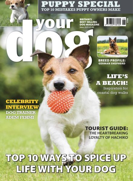 Your Dog – June 2025