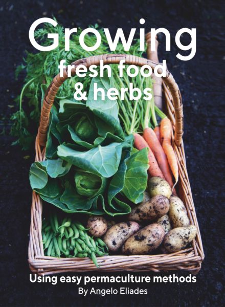 Growing Fresh Foods & Herbs – 2025