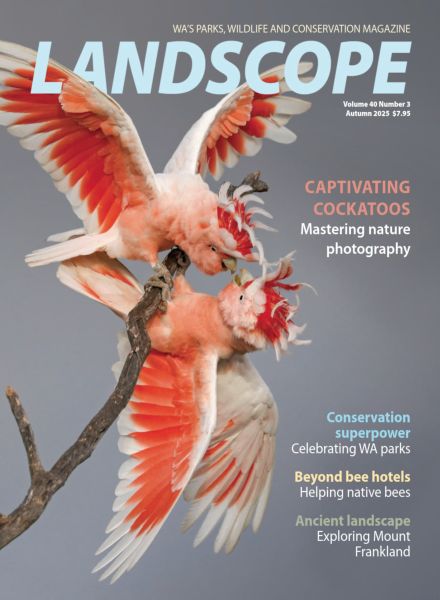 Landscope Magazine – Volume 40 Number 3 2025