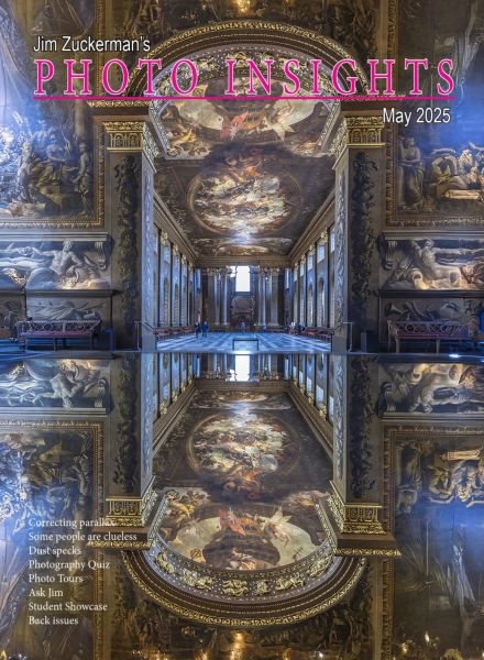 Photo Insights – May 2025
