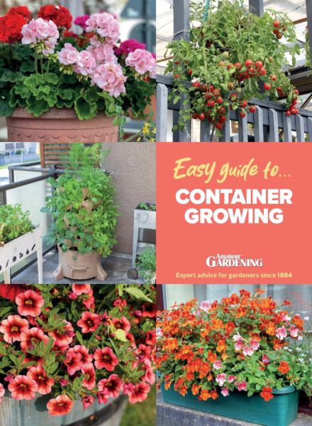 Amateur Gardening Easy Guide – Issue 6 2025