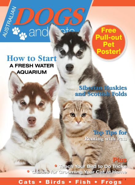 Dogs and Pets – Issue 9 2025