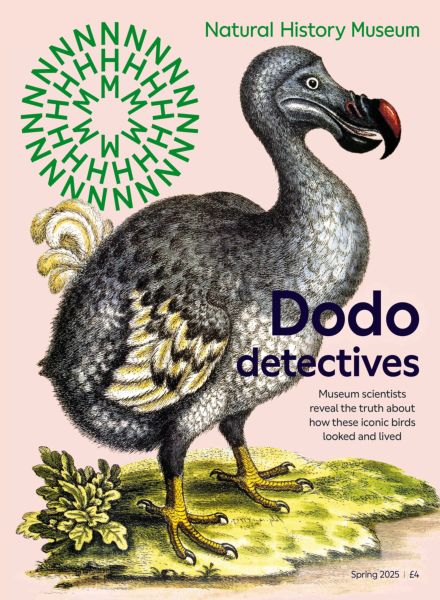 Natural History Museum – Spring 2025