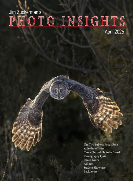Photo Insights – April 2025