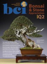BCI Bonsai & Stone Appreciation Magazine – Q2 2025