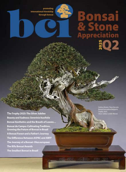 BCI Bonsai & Stone Appreciation Magazine – Q2 2025