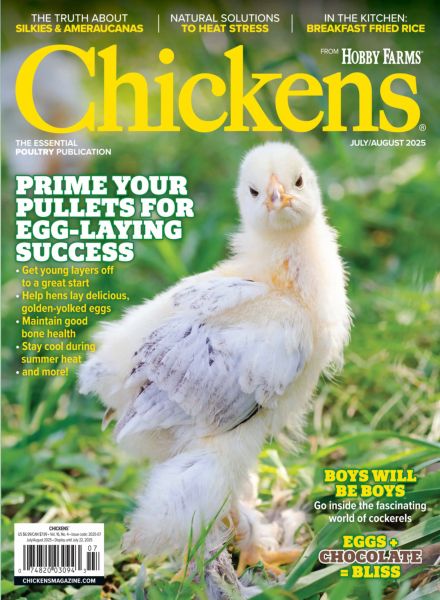 Chickens – July-August 2025