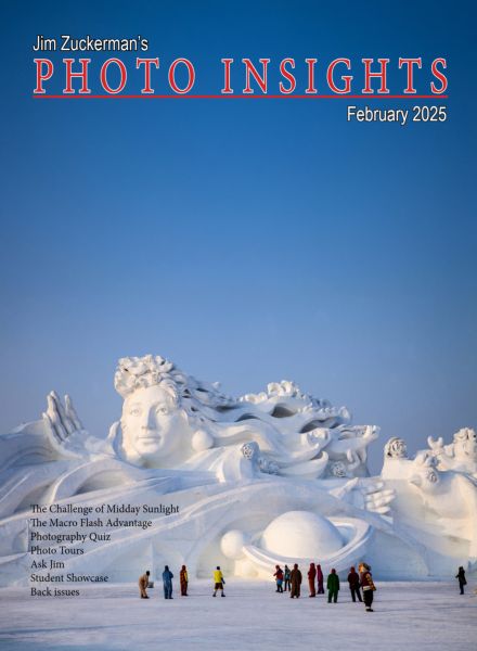 Photo Insights – February 2025