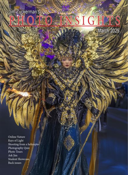 Photo Insights – March 2025