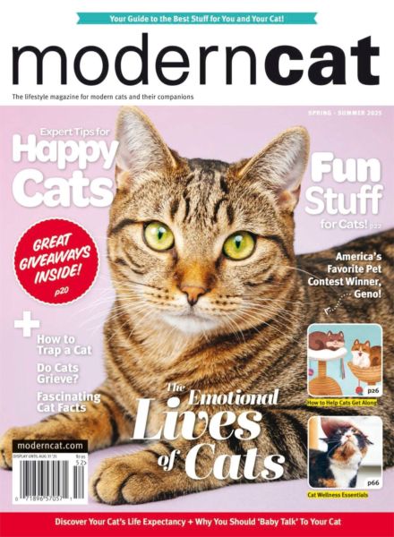 Modern Cat – Spring-Summer 2025