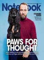 Daily Mirror Notebook – 25 May 2025
