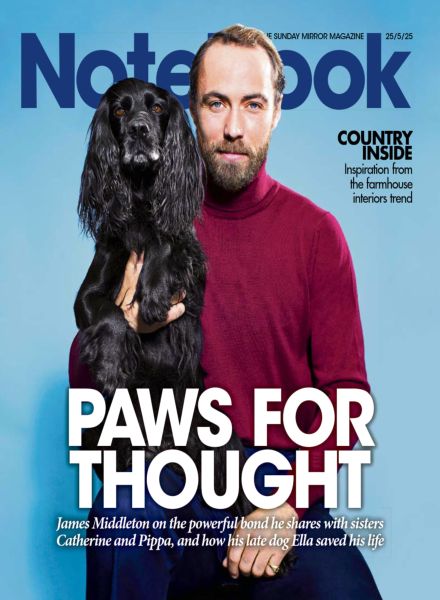 Daily Mirror Notebook – 25 May 2025