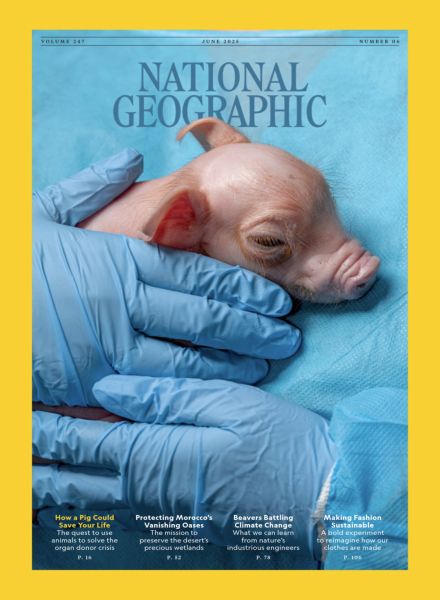 National Geographic UK – June 2025