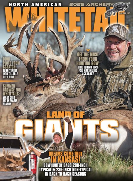 North American Whitetail – July 2025