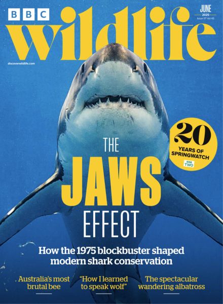BBC Wildlife – June 2025
