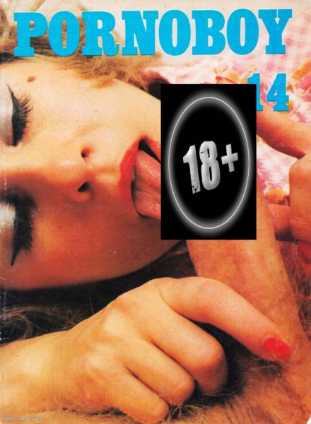 Porno Boy – Nr 14