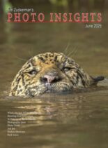 Photo Insights – June 2025