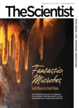 The Scientist – Summer 2025