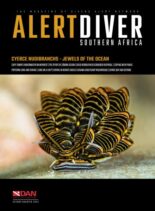 Alert Diver – Second Quarter 2025
