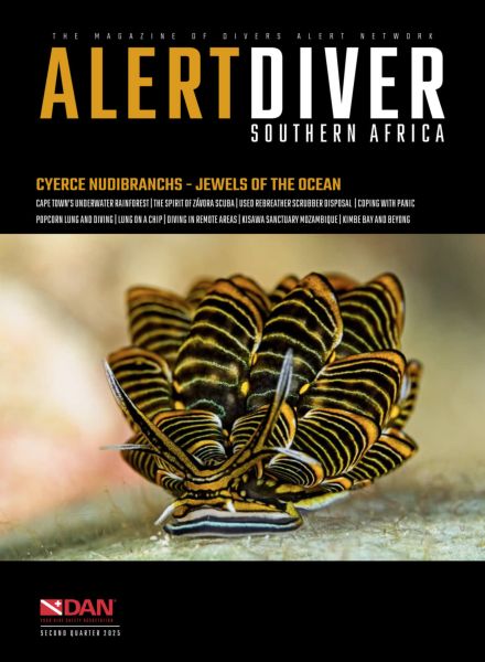 Alert Diver – Second Quarter 2025