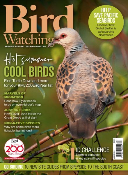 Bird Watching UK – July 2025