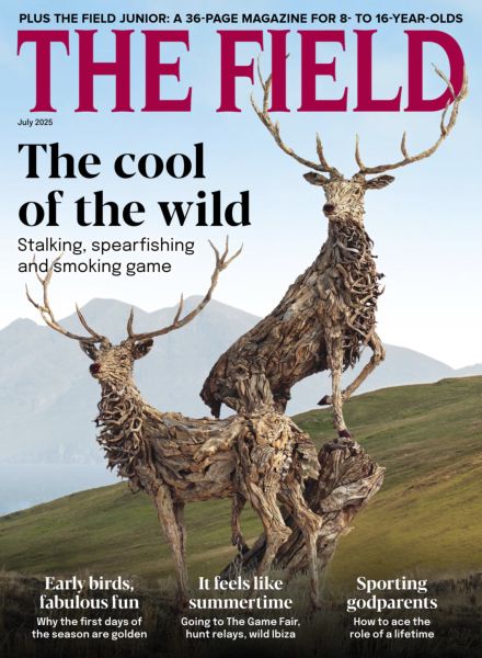 The Field – July 2025
