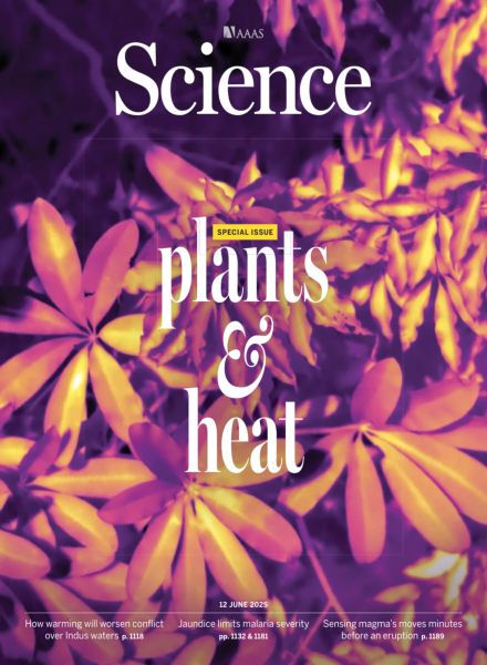 Science – 12 June 2025