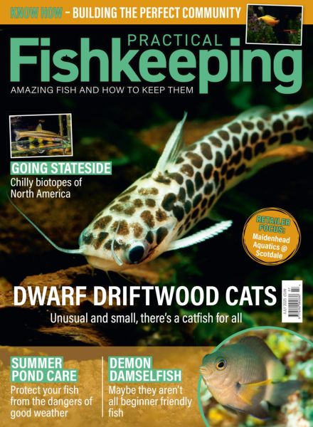 Practical Fishkeeping – July 2025