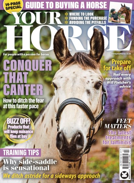 Your Horse – July 2025