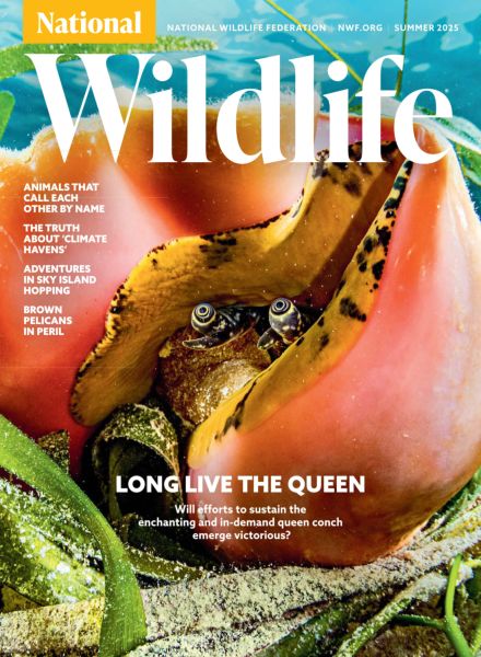 National Wildlife – Summer 2025