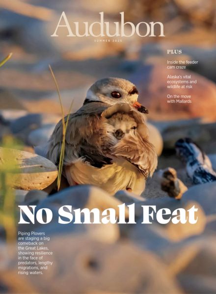 Audubon Magazine – Summer 2025