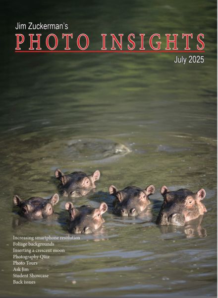 Photo Insights – July 2025