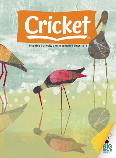 Cricket – July-August 2025